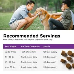 Nutri-Vet Pre & Probiotics Soft Chews Digestive Supplement For Dogs -Pet Wellness 104684 PT4. AC SS1800 V1657654928