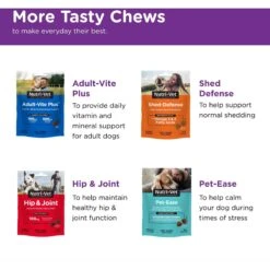 Nutri-Vet Pre & Probiotics Soft Chews Digestive Supplement For Dogs -Pet Wellness 104684 PT5. AC SS1800 V1657654928