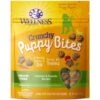 Wellness Crunchy Puppy Bites Chicken & Carrots Recipe Grain-Free Natural Dog Treats