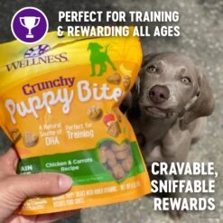 Wellness Crunchy Puppy Bites Chicken & Carrots Recipe Grain-Free Natural Dog Treats 8 Wellness Crunchy Puppy Bites Chicken & Carrots Recipe Grain-Free Natural Dog Treats -Pet Wellness 104848 PT2. AC SS1800 V1609283280