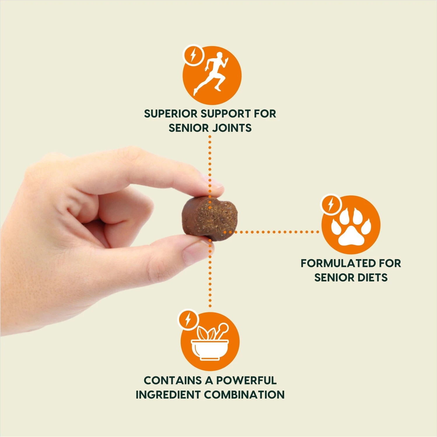 Ark Naturals Gray Muzzle Old Bones Happy Joints Maximum Strength Soft Chew Joint Supplement For Senior Dogs 2 Ark Naturals Gray Muzzle Old Bones Happy Joints Maximum Strength Soft Chew Joint Supplement For Senior Dogs - Image 2