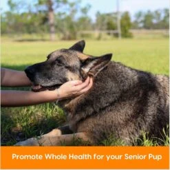 Ark Naturals Gray Muzzle Old Bones Happy Joints Maximum Strength Soft Chew Joint Supplement For Senior Dogs 11 Ark Naturals Gray Muzzle Old Bones Happy Joints Maximum Strength Soft Chew Joint Supplement For Senior Dogs -Pet Wellness 104941 PT3. AC SS1800 V1697054921