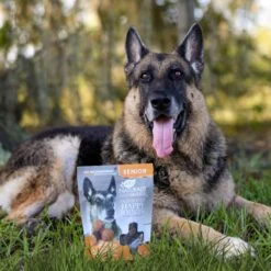 Ark Naturals Gray Muzzle Old Bones Happy Joints Maximum Strength Soft Chew Joint Supplement For Senior Dogs 12 Ark Naturals Gray Muzzle Old Bones Happy Joints Maximum Strength Soft Chew Joint Supplement For Senior Dogs -Pet Wellness 104941 PT4. AC SS1800 V1697052906