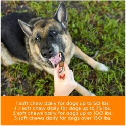 Ark Naturals Gray Muzzle Old Bones Happy Joints Maximum Strength Soft Chew Joint Supplement For Senior Dogs 14 Ark Naturals Gray Muzzle Old Bones Happy Joints Maximum Strength Soft Chew Joint Supplement For Senior Dogs -Pet Wellness 104941 PT6. AC SS1800 V1697054916