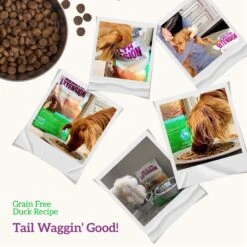 Health Extension Grain-Free Duck & Sweet Potato Recipe Dry Dog Food -Pet Wellness 105285 PT6. AC SS1800 V1595631074