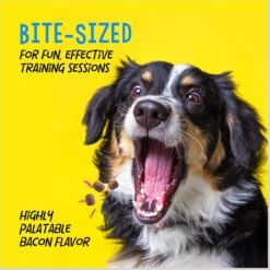 Crazy Dog Train-Me! Bacon Flavor Dog Treats -Pet Wellness 105765 PT4. AC SS1800 V1680811973