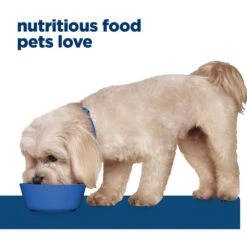 Hill's Prescription Diet Z/d Skin/Food Sensitivities Small Bites Original Flavor Dry Dog Food -Pet Wellness 106407 PT6. AC SS1800 V1668551410