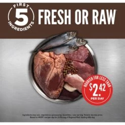 ORIJEN Regional Red Grain-Free Dry Dog Food -Pet Wellness 106513 PT3. AC SS1800 V1685629500