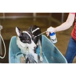 Vetericyn FoamCare Medicated Shampoo For Pets -Pet Wellness 106574 PT3. AC SS1800 V1540929179