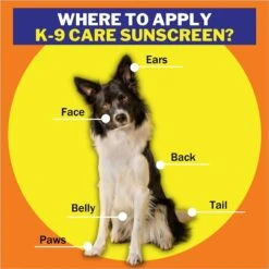 Epi-Pet Sun Protector Skin Treatment Spray 13 Epi-Pet Sun Protector Skin Treatment Spray -Pet Wellness 106873 PT5. AC SS1800 V1647557223