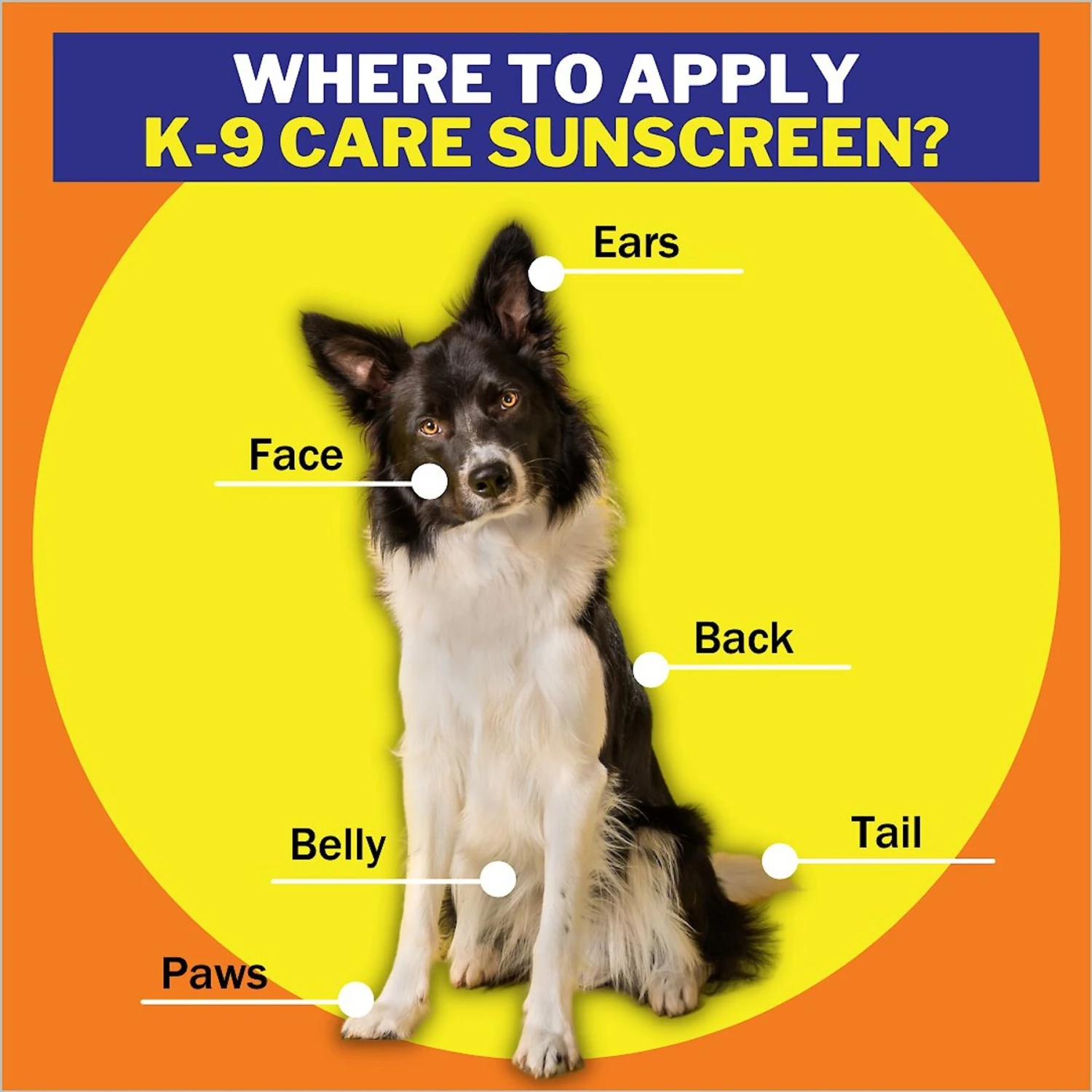 Epi-Pet Sun Protector Skin Treatment Spray 6 Epi-Pet Sun Protector Skin Treatment Spray - Image 6