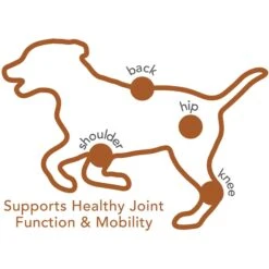 Vet's Best Advanced Chicken Flavored Soft Chews Joint Supplement For Dogs -Pet Wellness 107008 PT4. AC SS1800 V1537382829