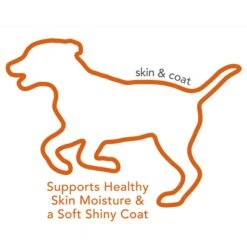Vet's Best Chicken Flavored Soft Chews Skin & Coat Supplement For Dogs 10 Vet's Best Chicken Flavored Soft Chews Skin & Coat Supplement For Dogs -Pet Wellness 107024 PT4. AC SS1800 V1537382831