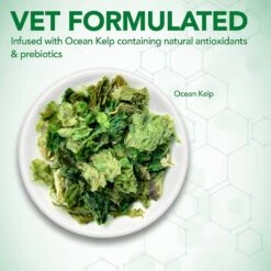 Vet's Best Probiotic Chicken Flavored Soft Chews Digestive Supplement For Dogs 11 Vet's Best Probiotic Chicken Flavored Soft Chews Digestive Supplement For Dogs -Pet Wellness 107028 PT3. AC SS1800 V1632781033