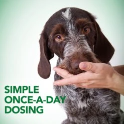 Vet's Best Probiotic Chicken Flavored Soft Chews Digestive Supplement For Dogs 12 Vet's Best Probiotic Chicken Flavored Soft Chews Digestive Supplement For Dogs -Pet Wellness 107028 PT4. AC SS1800 V1632795975