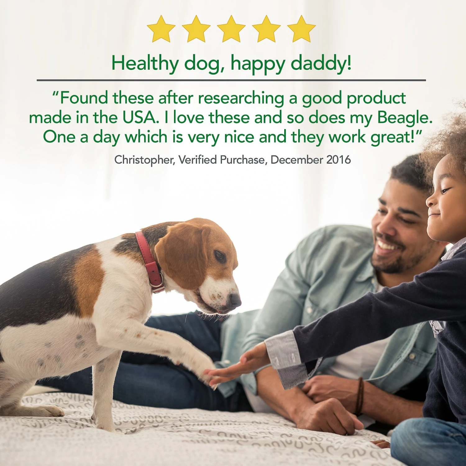 Vet's Best Probiotic Chicken Flavored Soft Chews Digestive Supplement For Dogs 6 Vet's Best Probiotic Chicken Flavored Soft Chews Digestive Supplement For Dogs - Image 6