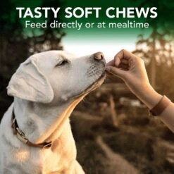Vet's Best Chicken Flavored Soft Chews Allergy Supplement For Dogs -Pet Wellness 107030 PT5. AC SS1800 V1567777375