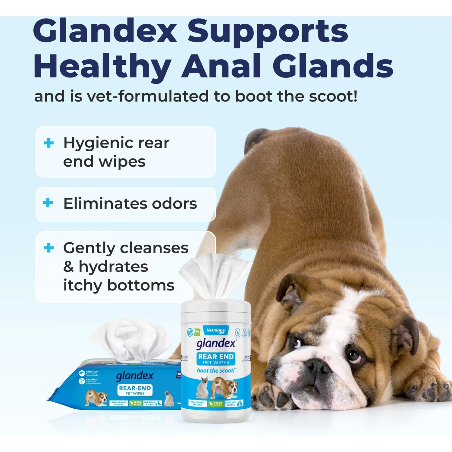 Vetnique Labs Glandex Wipes Rear End Anal Gland Cleansing & Deodorizing Hygienic Rear End Boot The Scoot Dog & Cat Wipes 2 Vetnique Labs Glandex Wipes Rear End Anal Gland Cleansing & Deodorizing Hygienic Rear End Boot The Scoot Dog & Cat Wipes - Image 2