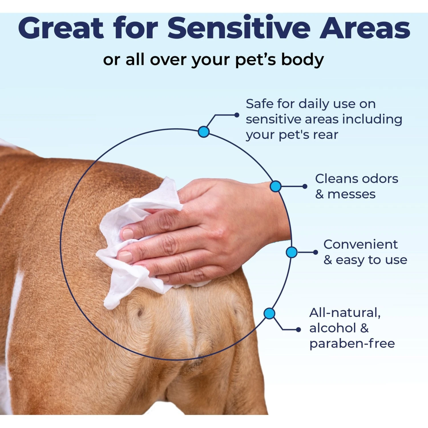 Vetnique Labs Glandex Wipes Rear End Anal Gland Cleansing & Deodorizing Hygienic Rear End Boot The Scoot Dog & Cat Wipes 3 Vetnique Labs Glandex Wipes Rear End Anal Gland Cleansing & Deodorizing Hygienic Rear End Boot The Scoot Dog & Cat Wipes - Image 3