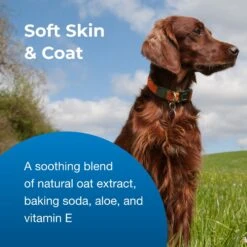 PetAg Fresh 'N Clean Tropical Fresh Oatmeal 'N Baking Soda Conditioner -Pet Wellness 108537 PT3. AC SS1800 V1543533848