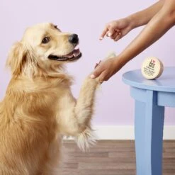 Pet Head Oatmeal Paw Butter Soothes & Nourishes Paws & Noses 2-oz 12 Pet Head Oatmeal Paw Butter Soothes & Nourishes Paws & Noses 2-oz -Pet Wellness 108958 PT3. AC SS1800 V1543610040