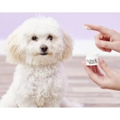 My Dog Nose It! Dog Sun Protection Balm 11 My Dog Nose It! Dog Sun Protection Balm -Pet Wellness 109123 PT3. AC SS1800 V1543610078
