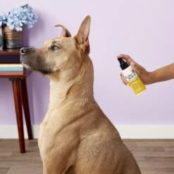 My Dog Nose It! Coat & Body Spray 12 My Dog Nose It! Coat & Body Spray -Pet Wellness 109127 PT3. AC SS1800 V1543610097