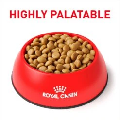 Royal Canin Veterinary Diet Adult Selected Protein PW Dry Dog Food 11 Royal Canin Veterinary Diet Adult Selected Protein PW Dry Dog Food -Pet Wellness 109136 PT2. AC SS1800 V1694465535