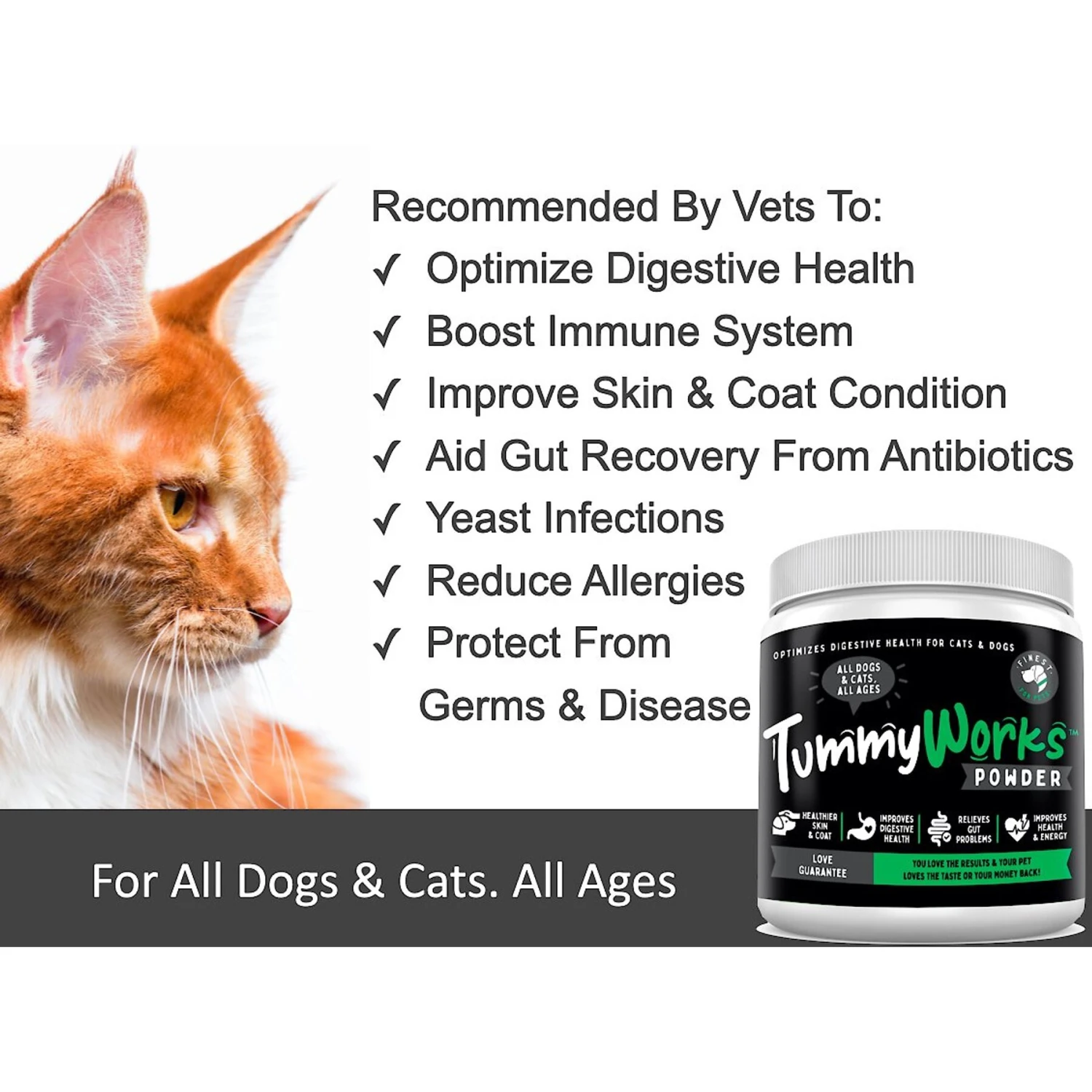 Finest For Pets TummyWorks Probiotics & Digestive Dog & Cat Supplement 4 Finest For Pets TummyWorks Probiotics & Digestive Dog & Cat Supplement - Image 4