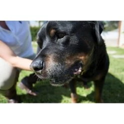 HandsOn All-In-One Pet Bathing & Grooming Gloves -Pet Wellness 109213 PT6. AC SS1800 V1488290800