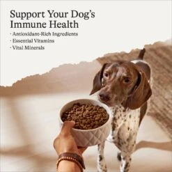American Journey Protein & Grains Formula Salmon, Brown Rice & Vegetables Recipe Dry Dog Food -Pet Wellness 109347 PT2. AC SS1800 V1700243658