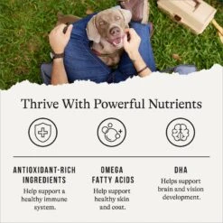 American Journey Protein & Grains Formula Salmon, Brown Rice & Vegetables Recipe Dry Dog Food -Pet Wellness 109347 PT4. AC SS1800 V1668737292