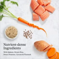 American Journey Protein & Grains Formula Salmon, Brown Rice & Vegetables Recipe Dry Dog Food -Pet Wellness 109347 PT5. AC SS1800 V1680623753