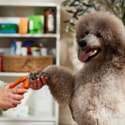 Millers Forge Nail Clipper 7 Millers Forge Nail Clipper -Pet Wellness 109500 PT3. AC SS1800 V1683922991