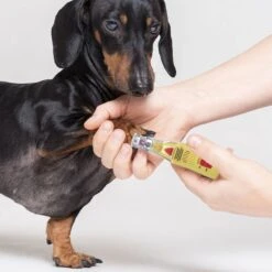 ConairPROPET Professional Dog Nail Grinder 15 ConairPROPET Professional Dog Nail Grinder -Pet Wellness 109635 PT7. AC SS1800 V1602729387