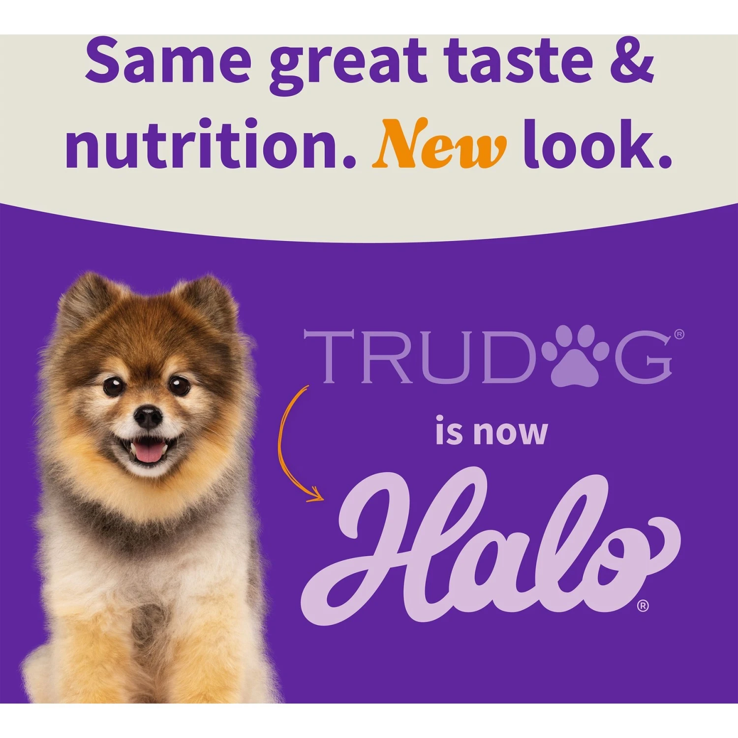Halo Meal Bites Beef Recipe Raw Freeze-Dried Dog Food 5 Halo Meal Bites Beef Recipe Raw Freeze-Dried Dog Food - Image 5