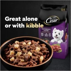 Cesar Home Delights T-Bone Steak, Egg & Cheese Flavor With Potatoes In Sauce Small Breed Adult Wet Dog Food Trays 16 Cesar Home Delights T-Bone Steak, Egg & Cheese Flavor With Potatoes In Sauce Small Breed Adult Wet Dog Food Trays -Pet Wellness 110516 PT7. AC SS1800 V1695738867