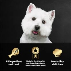 Cesar Home Delights T-Bone Steak, Egg & Cheese Flavor With Potatoes In Sauce Small Breed Adult Wet Dog Food Trays 17 Cesar Home Delights T-Bone Steak, Egg & Cheese Flavor With Potatoes In Sauce Small Breed Adult Wet Dog Food Trays -Pet Wellness 110516 PT8. AC SS1800 V1695752280