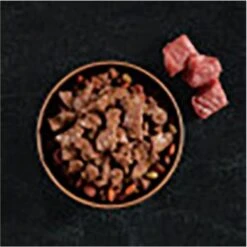 Cesar Filets In Gravy Beef Flavors Variety Pack Small Breed Adult Wet Dog Food -Pet Wellness 110539 PT3. AC SS1800 V1695674693