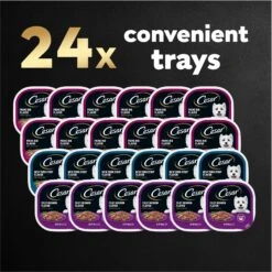 Cesar Filets In Gravy Beef Flavors Variety Pack Small Breed Adult Wet Dog Food -Pet Wellness 110539 PT7. AC SS1800 V1695746024