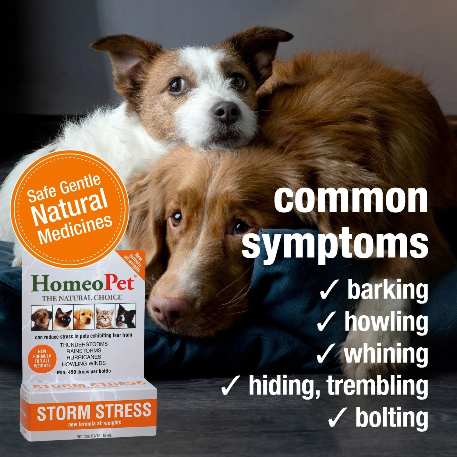 HomeoPet Storm Stress For Pets 20-80lbs 3 HomeoPet Storm Stress For Pets 20-80lbs - Image 3