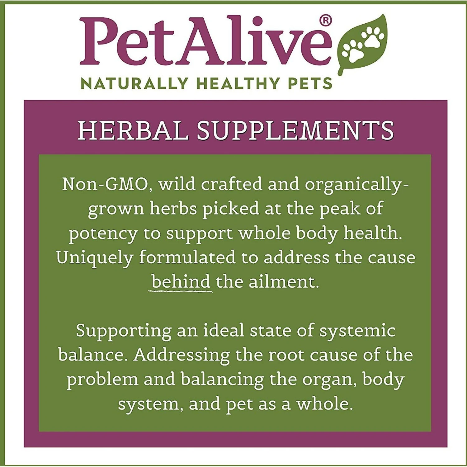 PetAlive RuniPoo Relief Dog & Cat Supplement 4 PetAlive RuniPoo Relief Dog & Cat Supplement - Image 4