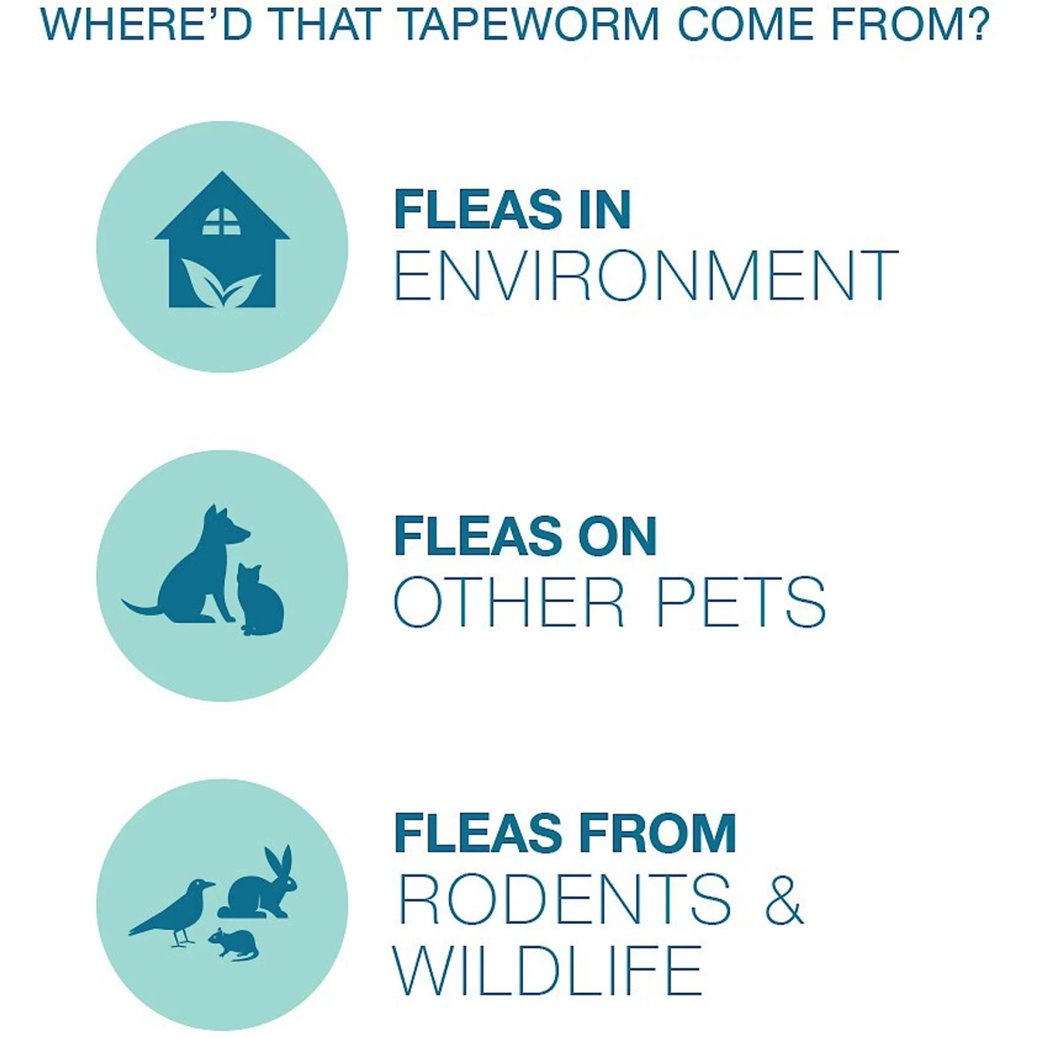 Elanco Dewormer For Tapeworms For Dogs 4 Elanco Dewormer For Tapeworms For Dogs - Image 4