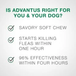 Advantus Flea Oral Treatment For Dogs, 4-22 Lbs 11 Advantus Flea Oral Treatment For Dogs, 4-22 Lbs -Pet Wellness 112347 PT6. AC SS1800 V1561554179