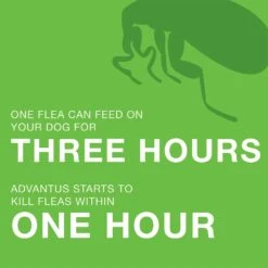 Advantus Flea Oral Treatment For Dogs, 23-110 Lbs 10 Advantus Flea Oral Treatment For Dogs, 23-110 Lbs -Pet Wellness 112350 PT5. AC SS1800 V1561554160