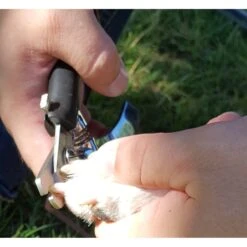 Resco Pro Series Plier Style Nail Clippers -Pet Wellness 112401 PT2. AC SS1800 V1490986364