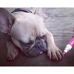 Warren London Pawdicure Dog Nail Polish Pen -Pet Wellness 112698 PT6. AC SS1800 V1660706026