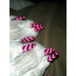 Warren London Pawdicure Dog Nail Polish Pen, Neon 12 Warren London Pawdicure Dog Nail Polish Pen, Neon -Pet Wellness 112707 PT5. AC SS1800 V1660706217