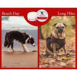 Warren London Dog Paw Defense Wax -Pet Wellness 112726 PT5. AC SS1800 V1658847092