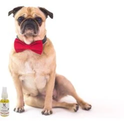 Warren London Grapeseed Oil Paw & Nose Revitalizer Spray 9 Warren London Grapeseed Oil Paw & Nose Revitalizer Spray -Pet Wellness 112734 PT5. AC SS1800 V1657655271